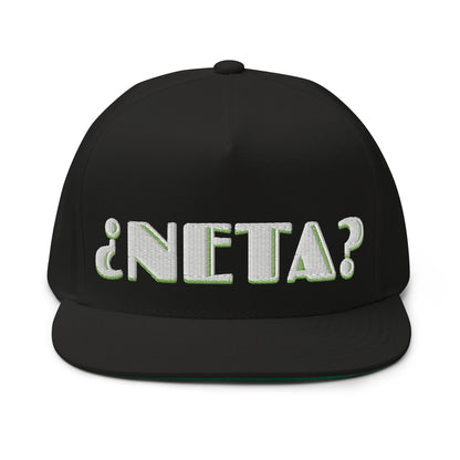 NETA? Snapback Hat