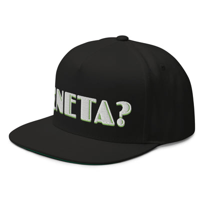 NETA? Snapback Hat